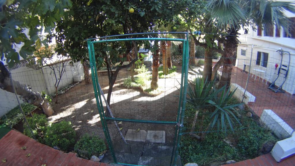 פלמה דה מיורקה La Mimosa Guesthouse מראה חיצוני תמונה